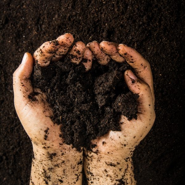 Black Gold Compost