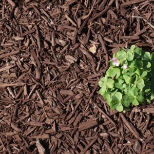Brown Colored Enhanced Mulch
