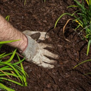Premium Brown Mulch